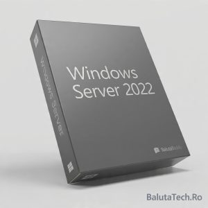 Licență Windows Server 2022 Standard